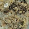 Cérusite et Pyromorphite, Mine des Farges, Ussel, Corrèze.