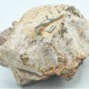 Orthose sur Quartz fumé, Coustouges, Pyrénées-Orientales.