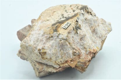 Orthose sur Quartz fumé, Coustouges, Pyrénées-Orientales.