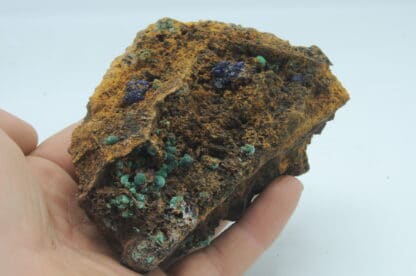 Azurite et malachite, Le Moulinal, Tarn.