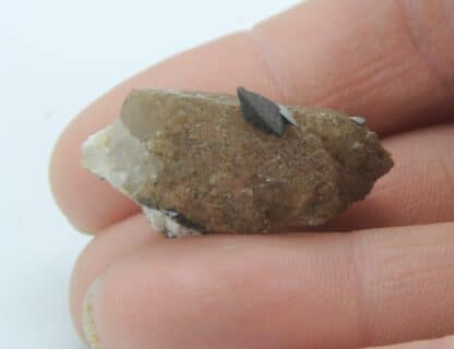 Quartz, chlorite brune et anatase, massif de la Lauzière, Savoie.