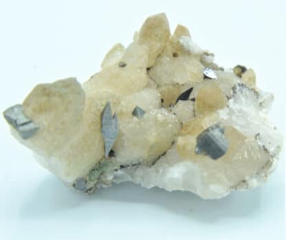 Anatase sur quartz chloriteux du massif de la Lauzière en Savoie