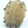 Quartz recouvert de cristaux d'anatase et d'adulaire de la Lauzière
