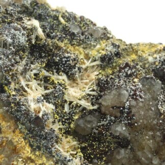 Variscite, wavellite et quartz, carrière de Beauvoir, Échassières, Allier.