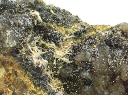 Variscite, wavellite et quartz, carrière de Beauvoir, Échassières, Allier.