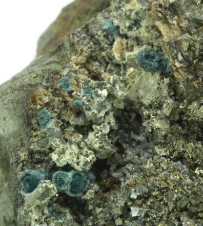 Gormanite sur pyrite, Mine de Salsigne, Aude, Occitanie.