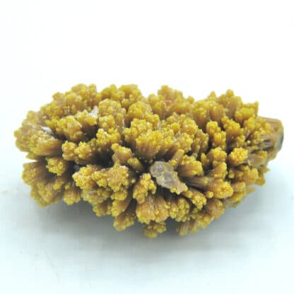 Pyromorphite et Wulfénite, Les Farges, Ussel, Corrèze, Limousin.