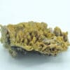 Pyromorphite, Mine des Farges, Ussel, Corrèze, Limousin.