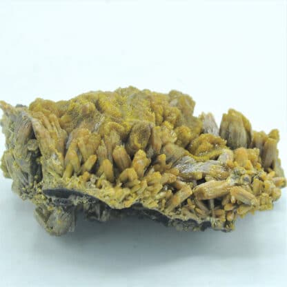 Pyromorphite, Mine des Farges, Ussel, Corrèze, Limousin.