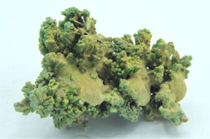 Pyromorphite, Mine des Farges, Ussel, Corrèze, Limousin.