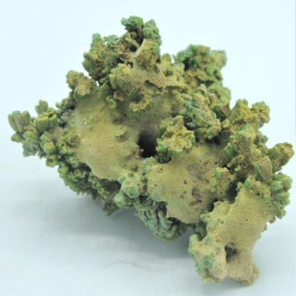 Pyromorphite, Mine des Farges, Ussel, Corrèze, Limousin.