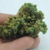Pyromorphite, Mine des Farges, Ussel, Corrèze, Limousin.