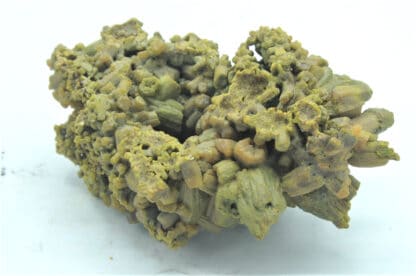 Pyromorphite flottante, Les Farges, Ussel, Corrèze, Limousin.