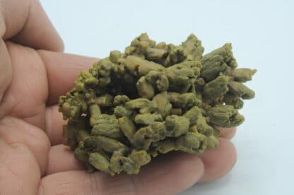 Pyromorphite flottante, Les Farges, Ussel, Corrèze, Limousin.