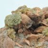 Clinomimétite (Mimétite), Baryte, Wulfénite et Fluorine, Lantigné, Rhône.