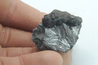 Pyrolusite, Mine de Kajlidongri, Jhabua, Inde.