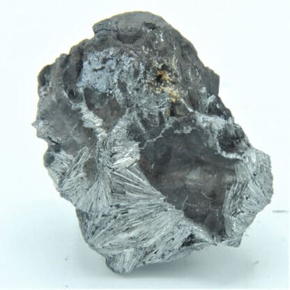 Pyrolusite, Mine de Kajlidongri, Jhabua, Inde.