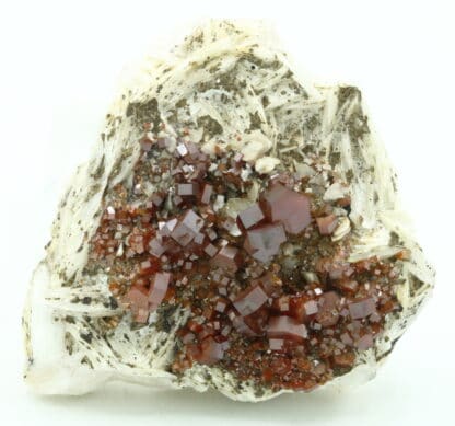 Cristaux de Vanadinite sur baryte, district de Mibladen, Maroc.