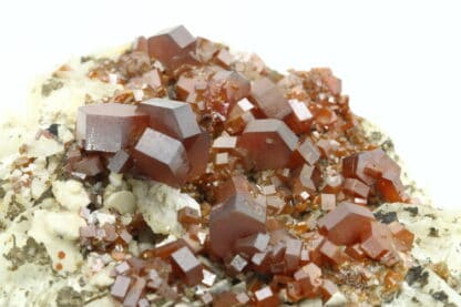 Cristaux de Vanadinite sur baryte, district de Mibladen, Maroc.