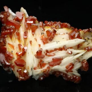 Vanadinite rouge sur baryte crêtée, Mibladen, Maroc.