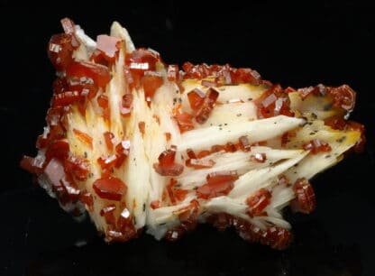 Vanadinite rouge sur baryte crêtée, Mibladen, Maroc.