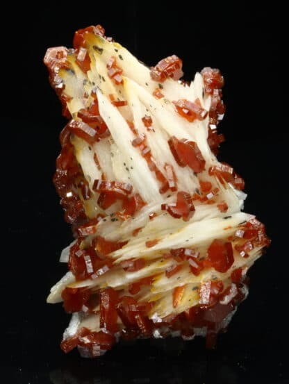 Vanadinite rouge sur baryte crêtée, Mibladen, Maroc.