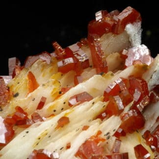 Vanadinite rouge sur baryte crêtée, Mibladen, Maroc.