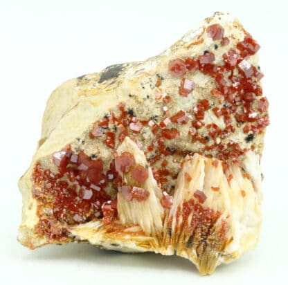 Vanadinite sur baryte, district de Mibladen, Maroc.