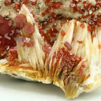 Vanadinite sur baryte, district de Mibladen, Maroc.