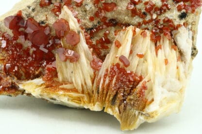 Vanadinite sur baryte, district de Mibladen, Maroc.