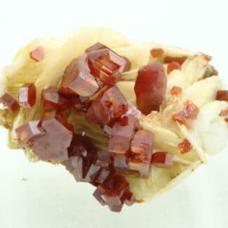 Vanadinite rouge sur baryte crêtée, Mibladen, Maroc.