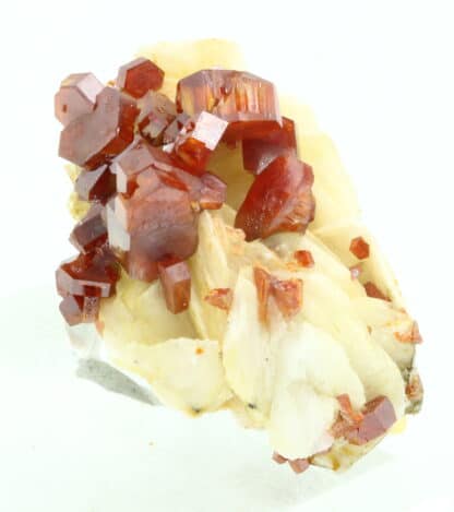 Vanadinite rouge sur baryte crêtée, Mibladen, Maroc.