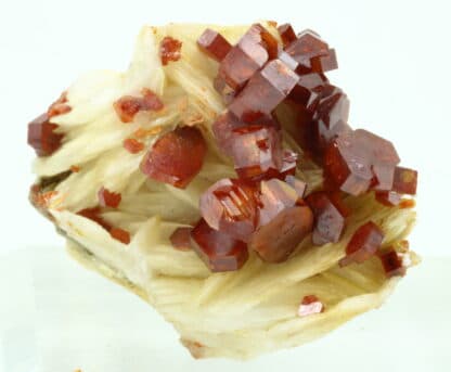 Vanadinite rouge sur baryte crêtée, Mibladen, Maroc.