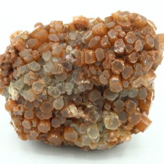 Aragonite, Los Molinillos - La Vacariza, Castille-La Manche, Espagne.