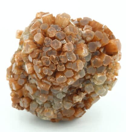 Aragonite, Los Molinillos - La Vacariza, Castille-La Manche, Espagne.