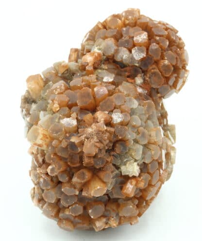 Aragonite, Los Molinillos - La Vacariza, Castille-La Manche, Espagne.