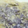 Apatite violette, Tréguennec, Quimper, Finistère, Bretagne.