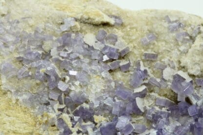 Apatite violette, Tréguennec, Quimper, Finistère, Bretagne.