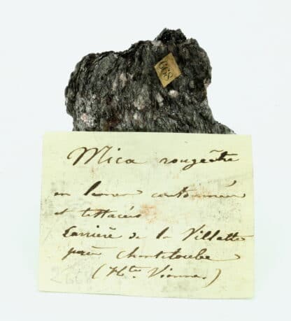 Mica avec Rubellane (biotite), Chanteloube, Haute-Vienne, Limousin.