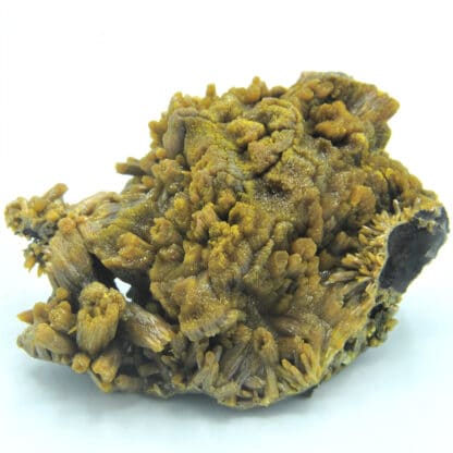 Pyromorphite, Mine des Farges, Ussel, Corrèze, Limousin.