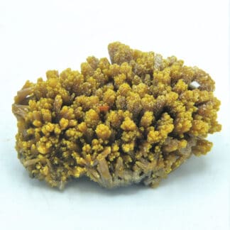 Pyromorphite et Wulfénite, Les Farges, Ussel, Corrèze, Limousin.