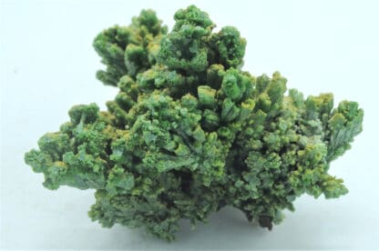 Pyromorphite, Mine des Farges, Ussel, Corrèze, Limousin.