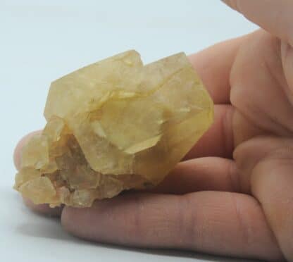 Calcite maclée, Landelies, Montigny-le-Tilleul, Hainaut, Belgique.