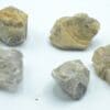 Cristaux de Baryte, Doisches, Namur, Belgique.