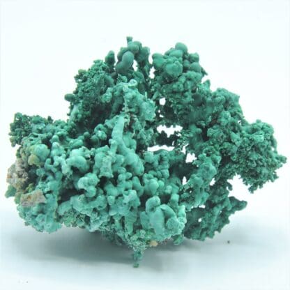 Concrétions de Malachite, Bouche-Payrol, Brusque, Aveyron