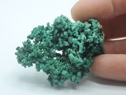 Concrétions de Malachite, Bouche-Payrol, Brusque, Aveyron. – Image 4
