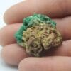 Bindheimite sur Bournonite et Malachite, Usclas-du-Bosc, Loiras, Hérault.