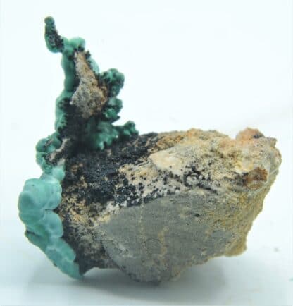 Malachite concrétionnée, Bouche-Payrol, Brusque, Aveyron.