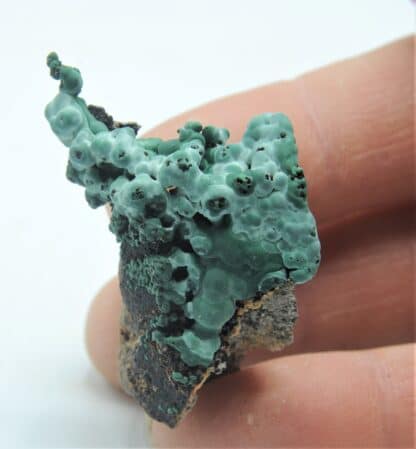 Malachite concrétionnée, Bouche-Payrol, Brusque, Aveyron.