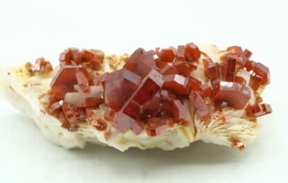 Cristaux de Vanadinite sur baryte, district de Mibladen, Maroc.